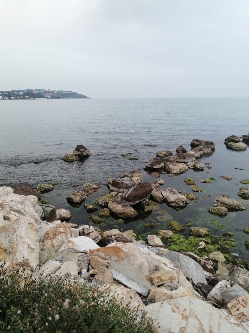 International Transition Coaching